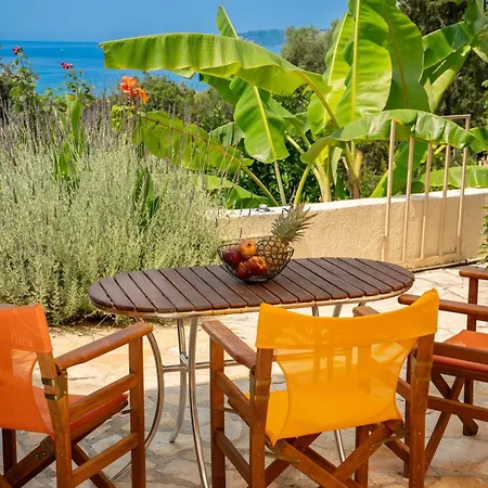 Agnanti ロウダータ